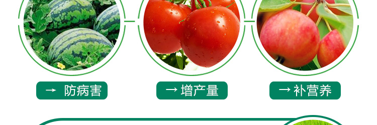 广州芭农生物科技有限公司_15.jpg