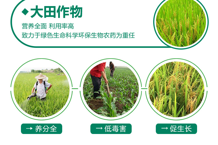 广州芭农生物科技有限公司_16.jpg