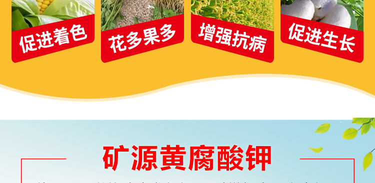 河北智宸农业科技有限公司_08.jpg
