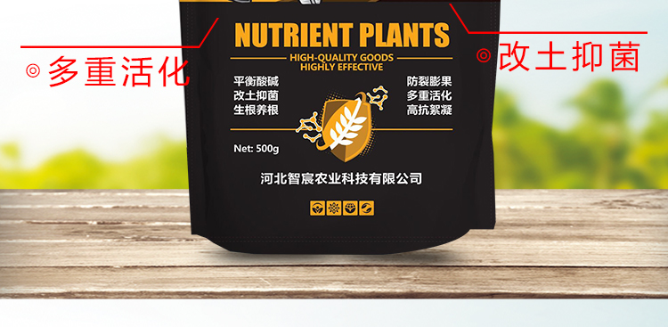 河北智宸农业科技有限公司_10.jpg