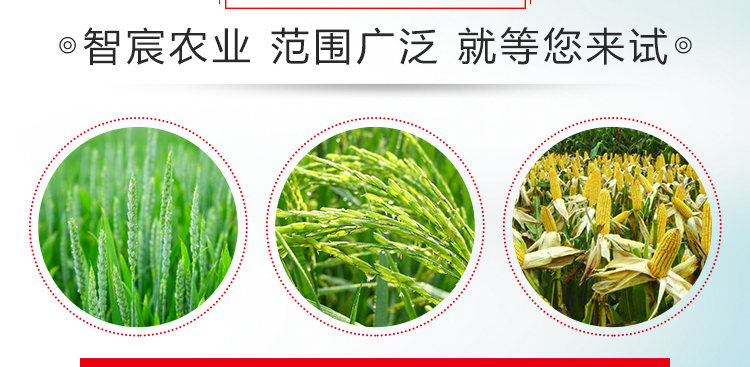 河北智宸农业科技有限公司_18.jpg