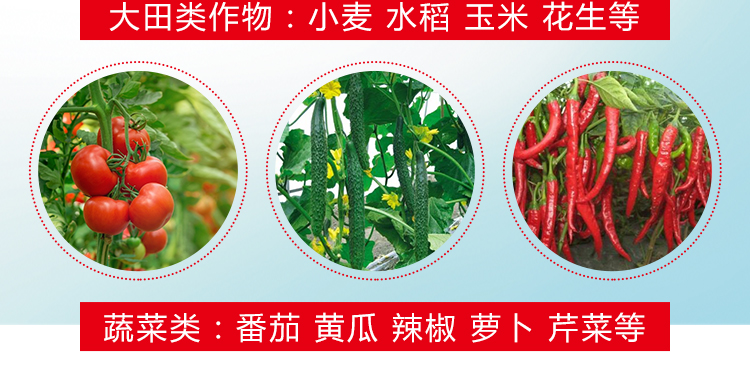 河北智宸农业科技有限公司_19.jpg