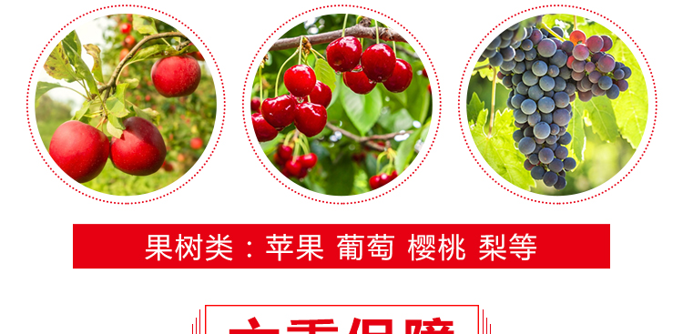 河北智宸农业科技有限公司_20.jpg