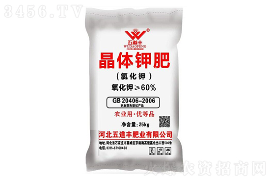 2021-1-8���ռطʼ۸����鱨��