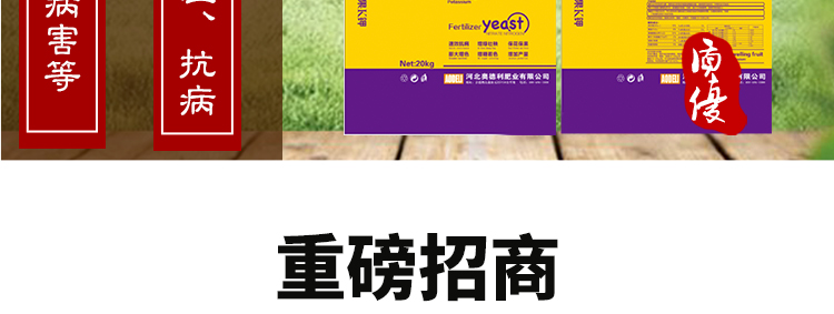 河北奥德利肥业有限公司_15.jpg