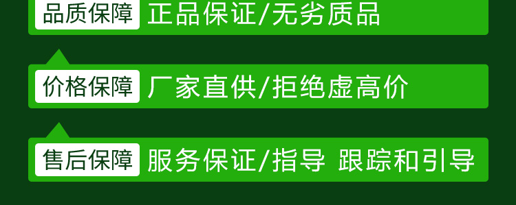 2_36.jpg