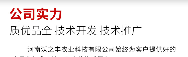 3_01.jpg