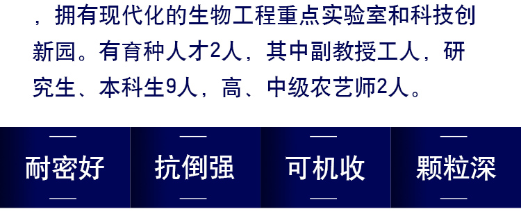 河南丰满仓种业有限公司产品详情页1_04.jpg