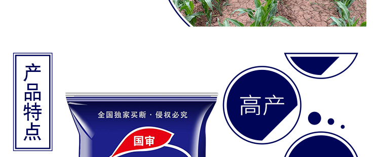 河南丰满仓种业有限公司产品详情页1_06.jpg