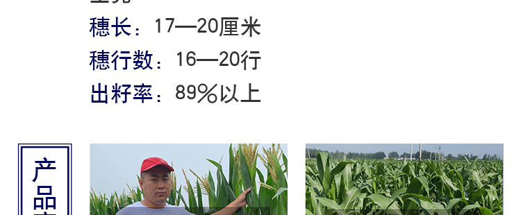 河南丰满仓种业有限公司产品详情页1_09.jpg