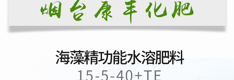 烟台康丰化肥有限公司_06.jpg