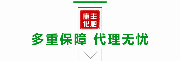 烟台康丰化肥有限公司_16.jpg