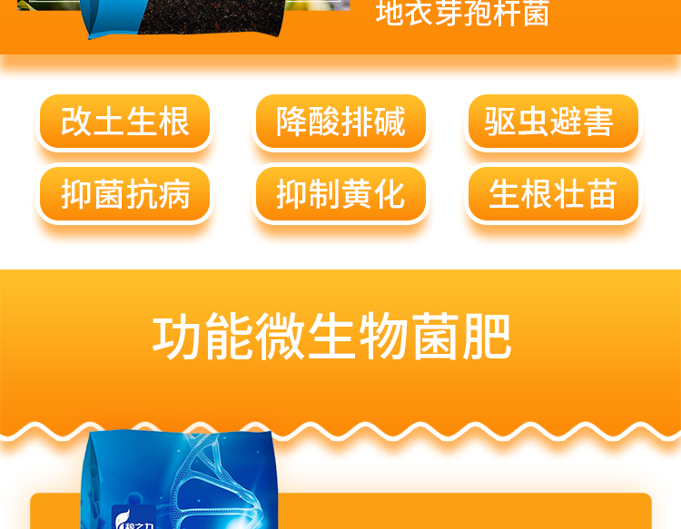石家庄益农肥业有限公司_08.jpg