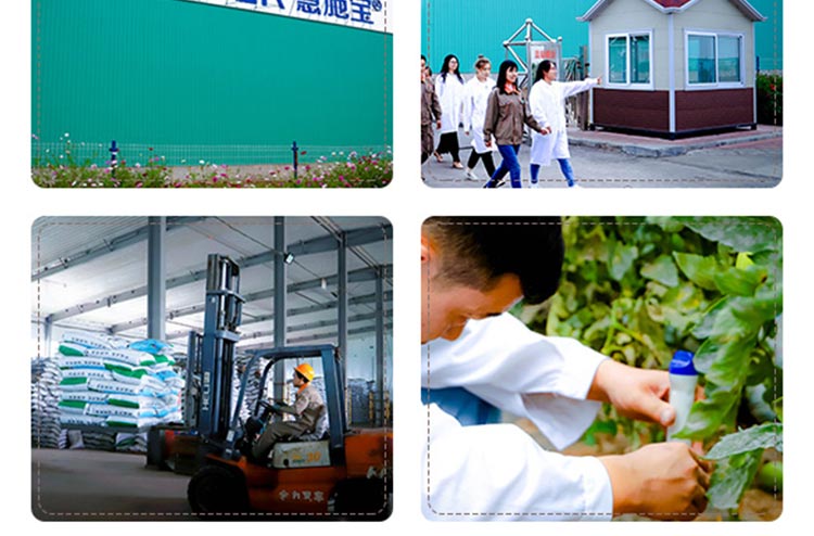 山西绿福园农业开发有限责任公司_15.jpg