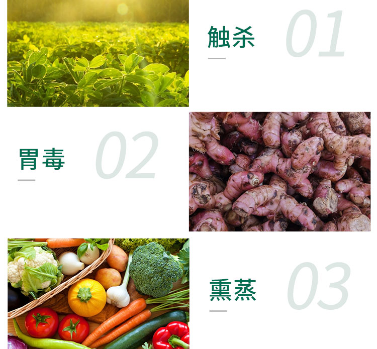 济南亿友农业科技有限公司_09.jpg