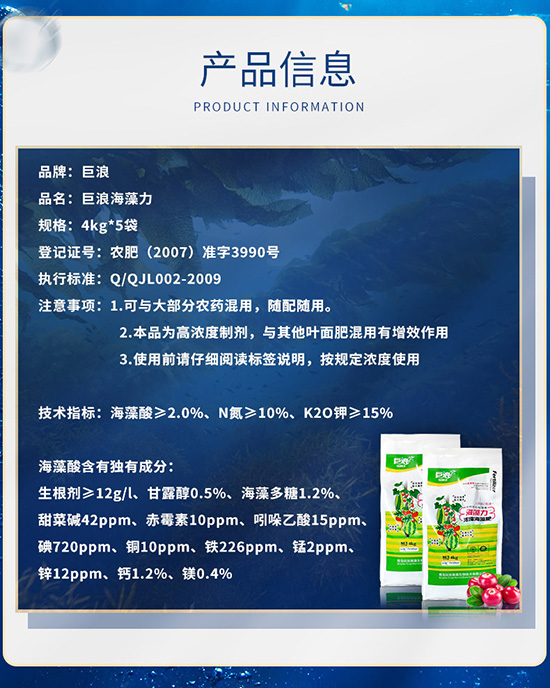 3海藻力_11.jpg