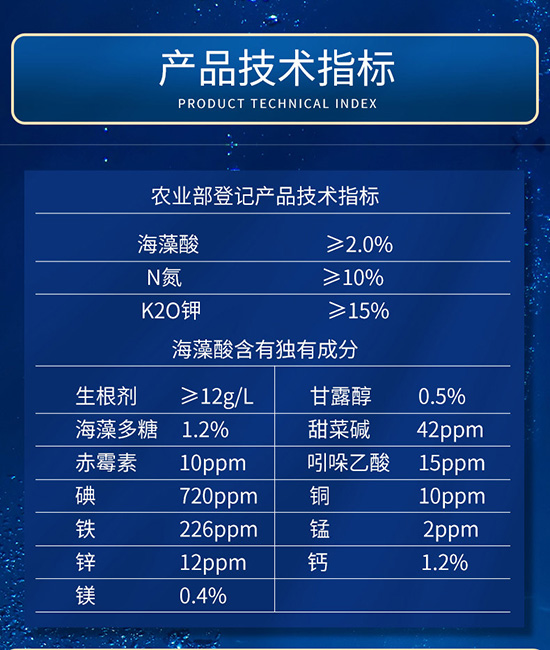 3海藻力_16.jpg