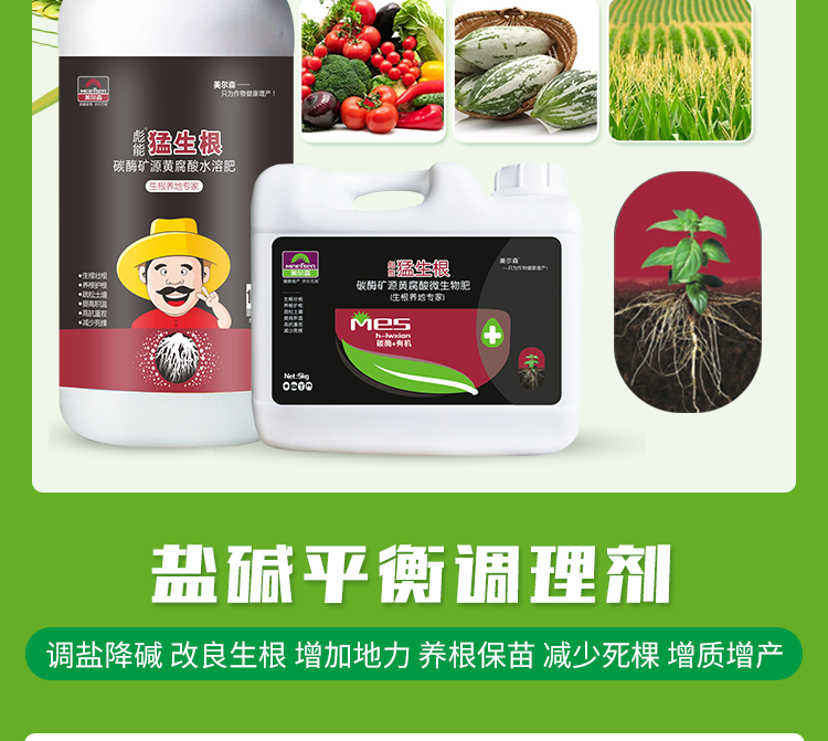 深圳美尔森生物科技发展有限公司公司画册-_08.png