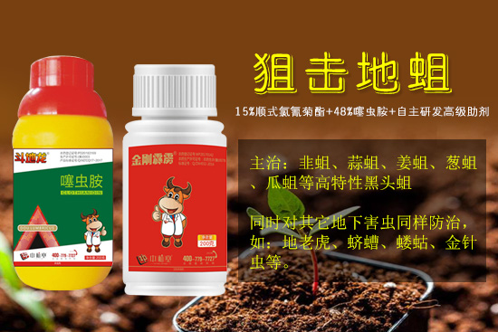 狙击抗性地蛆!虫卵通杀,1天死蛆,3天死虫率达90%以上!长效无农残! 狙击抗性地蛆!虫卵通杀,1天死蛆,3天死虫率达90%以上!长效无农残!
