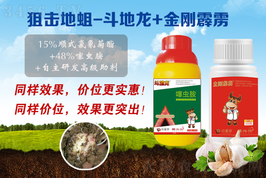 狙击抗性地蛆!虫卵通杀,1天死蛆,3天死虫率达90%以上!长效无农残! 狙击抗性地蛆!虫卵通杀,1天死蛆,3天死虫率达90%以上!长效无农残!
