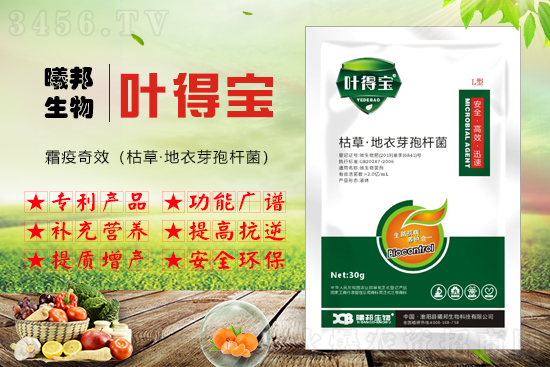 葡萄霜霉病为什么这么难打?防治霜霉病用什么办法? 葡萄霜霉病为什么这么难打?防治霜霉病用什么办法?