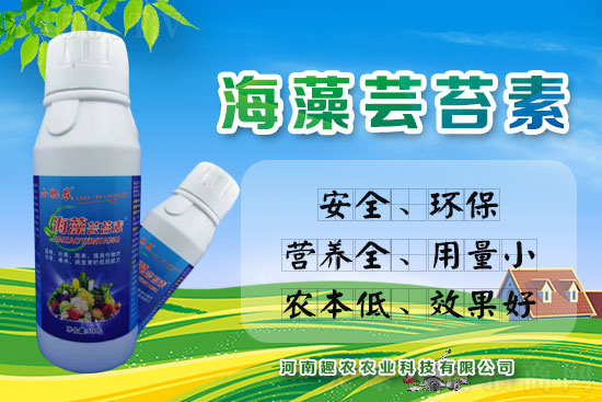海藻素+芸苔素,提质增产好帮手!碰撞出不一样的火花! 海藻素+芸苔素,提质增产好帮手!碰撞出不一样的火花!