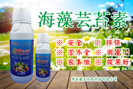 海藻素+芸苔素,提质增产好帮手!碰撞出不一样的火花! 海藻素+芸苔素,提质增产好帮手!碰撞出不一样的火花!