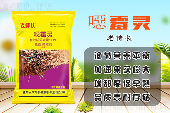蔬菜防病要如何选择农药?老传长噁霉灵,防土传、促生长、拿高产! 蔬菜防病要如何选择农药?老传长噁霉灵,防土传、促生长、拿高产!
