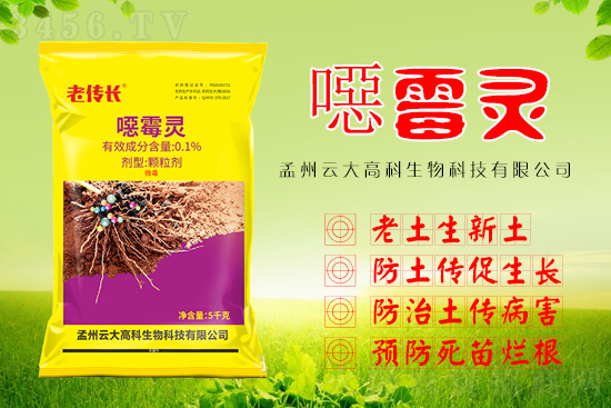蔬菜防病要如何选择农药?老传长噁霉灵,防土传、促生长、拿高产! 蔬菜防病要如何选择农药?老传长噁霉灵,防土传、促生长、拿高产!