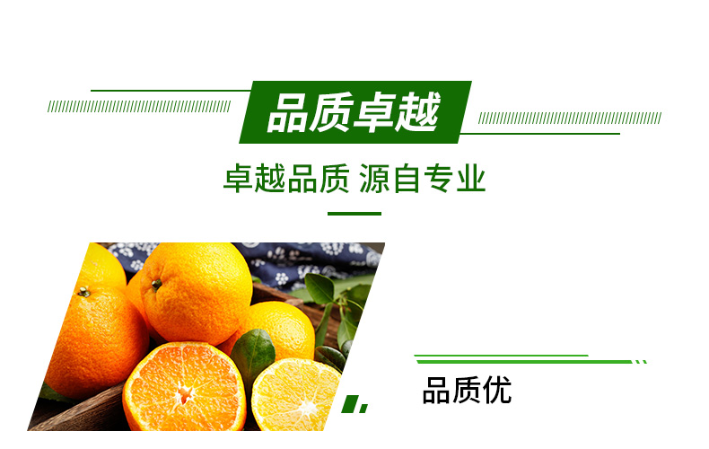 广州市植宝化肥有限公�?页面_04.jpg