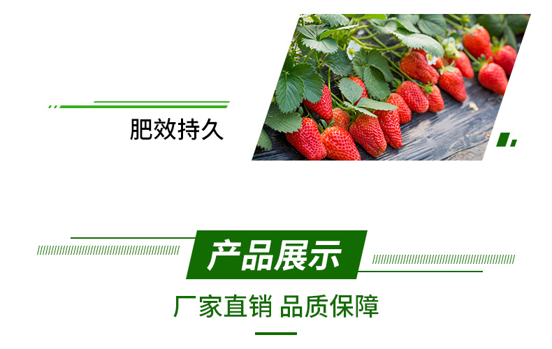 广州市植宝化肥有限公�?页面_08.jpg