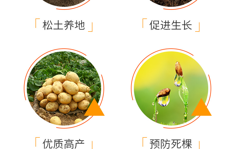 青岛普创化肥有限公司-页面改_08.jpg