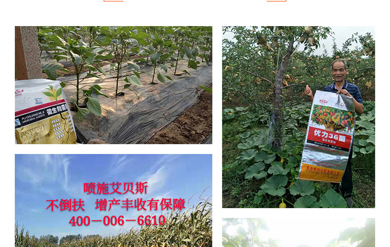青岛普创化肥有限公司-页面改_21.jpg