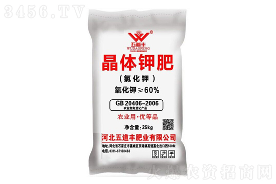 �Ȼ��ؼ۸����鱨��2021��12��31��