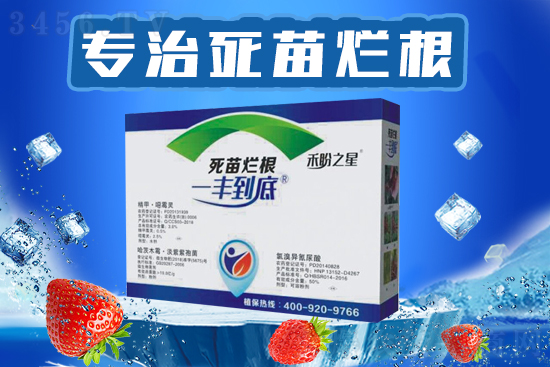 鑽夎帗.jpg 鑽夎帗.jpg