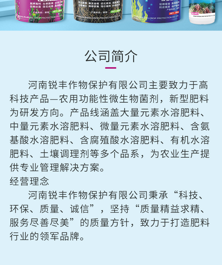 锐丰电子画册_02.jpg