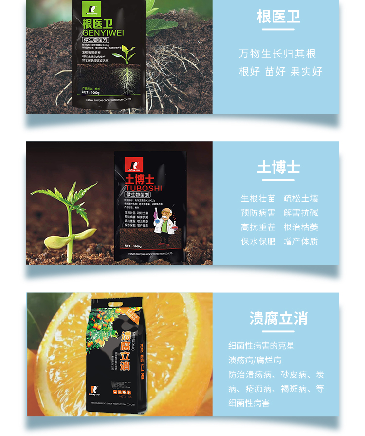 锐丰电子画册_11.jpg