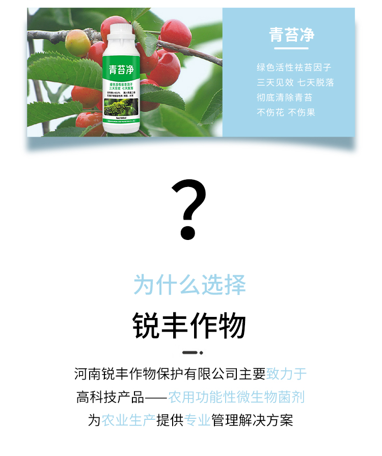 锐丰电子画册_12.jpg