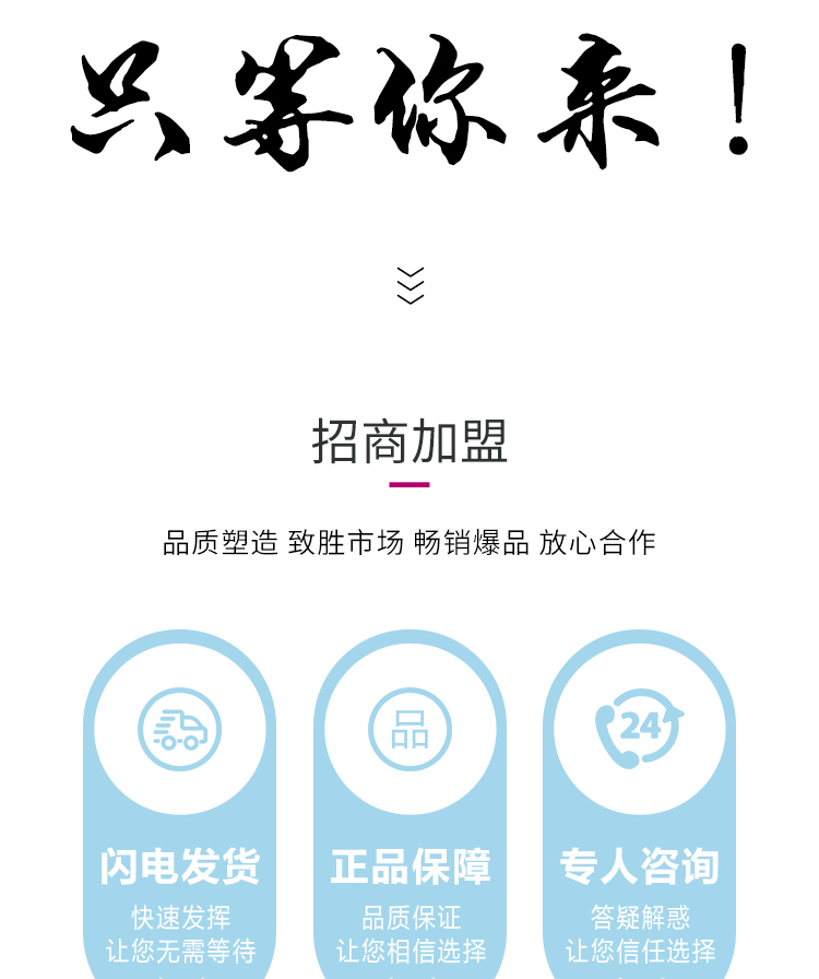 锐丰电子画册_13.jpg