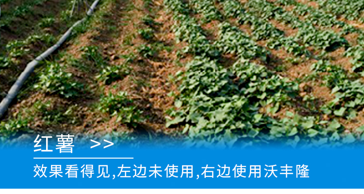 河北德强生物科技有限公司_02_18.jpg