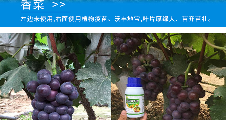 河北德强生物科技有限公司_02_20.jpg