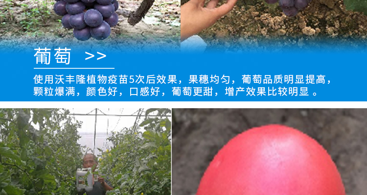 河北德强生物科技有限公司_02_21.jpg
