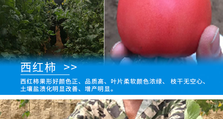 河北德强生物科技有限公司_02_22.jpg