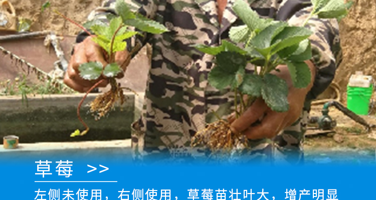 河北德强生物科技有限公司_02_23.jpg