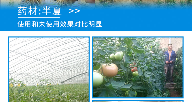 河北德强生物科技有限公司_02_25.jpg