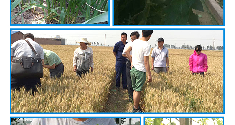 河北德强生物科技有限公司_02_27.jpg