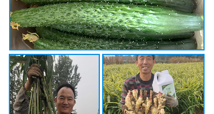 河北德强生物科技有限公司_02_29.jpg