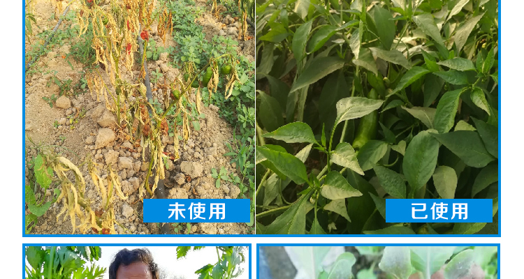 河北德强生物科技有限公司_02_33.jpg