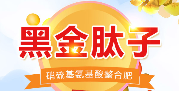 未标�?1_01.jpg