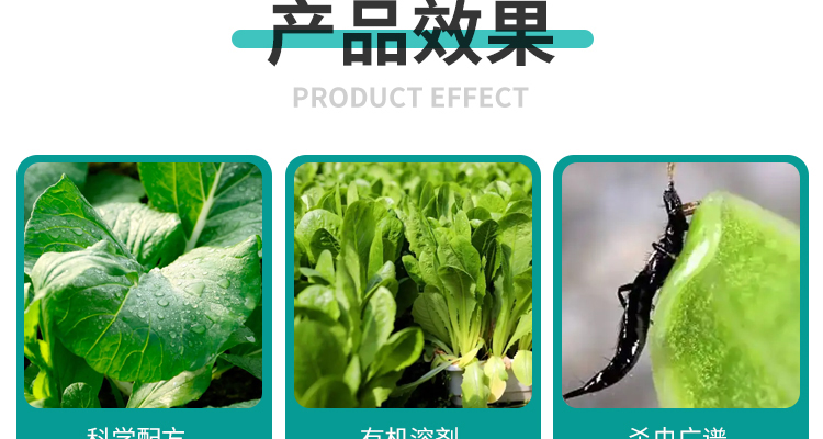 山东冠玛生物科技有限公司_06.jpg